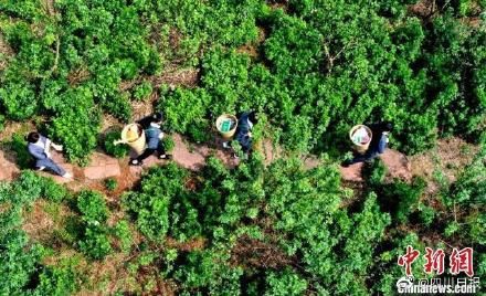 教书|翻山越岭去教书 四川背篼老师给残疾孩子送教上门