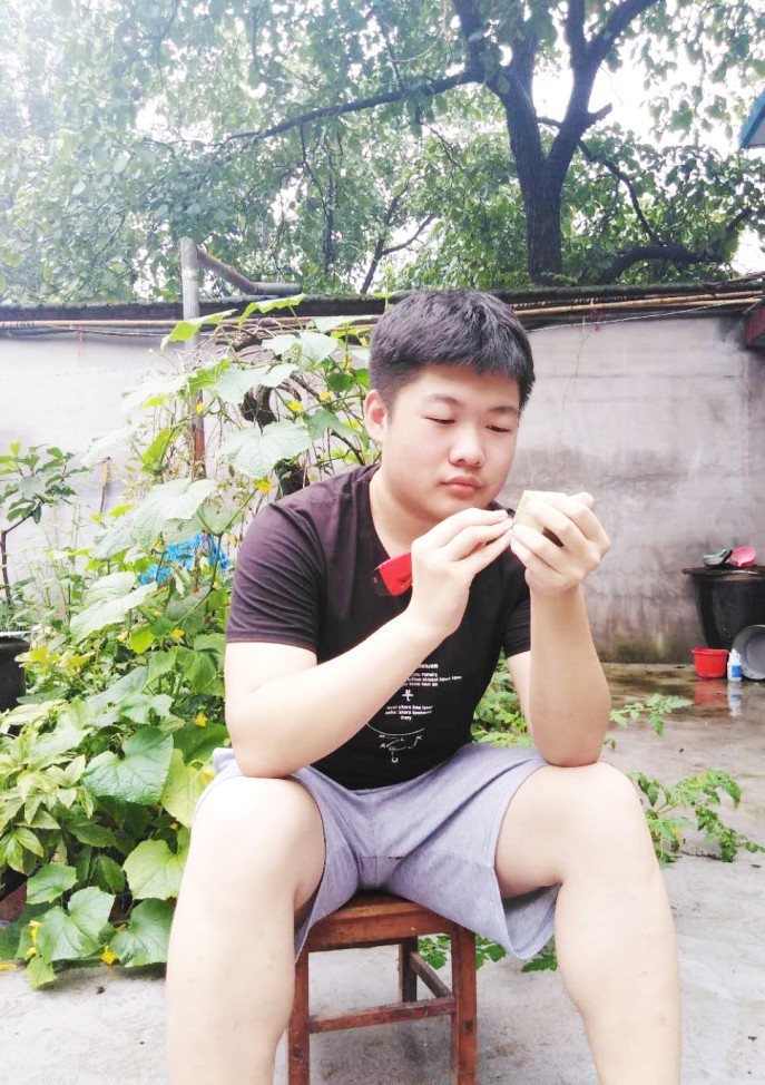 空城计——王浩然刻“中国古代兵法三十六计组印”之二十四