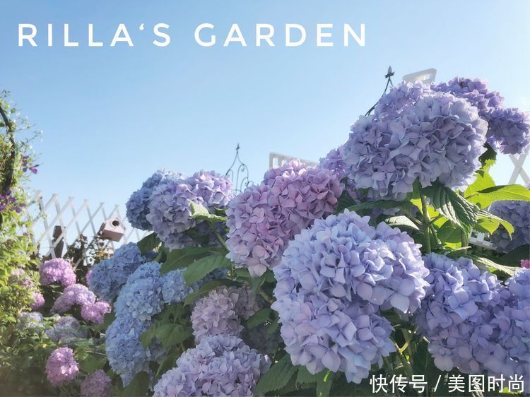 防腐木|13㎡屋顶造花园，在喧嚣城市里，打造一个自己心灵深处的伊甸园