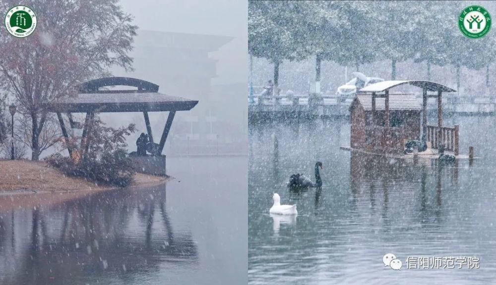 307.4公里！这是我见过最甜的异地恋！这对情侣火了！