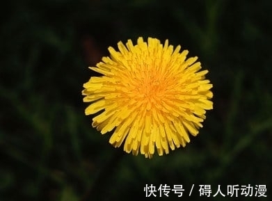 一周后,乘风破浪,一梦三年,繁花入梦,爱意盛涌,恩爱不离