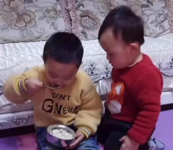 宝妈|哥哥独占饭碗,弟弟高情商讨要食物,宝妈“一箭双雕”方法太赞
