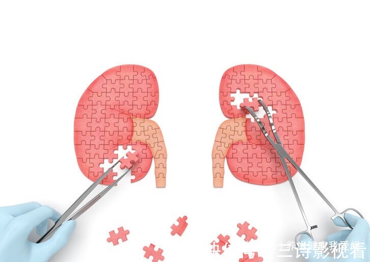 排尿|一喝水就尿，喝水后很久才尿，哪种情况才是肾脏出现了问题？