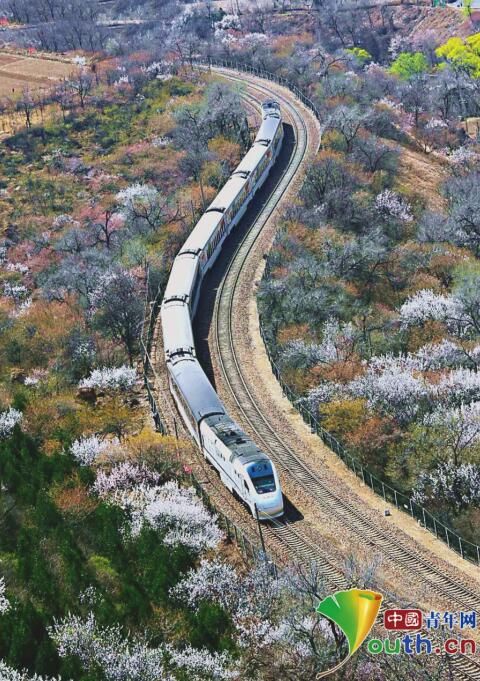 s2|“居庸花海”中“开往春天的列车”