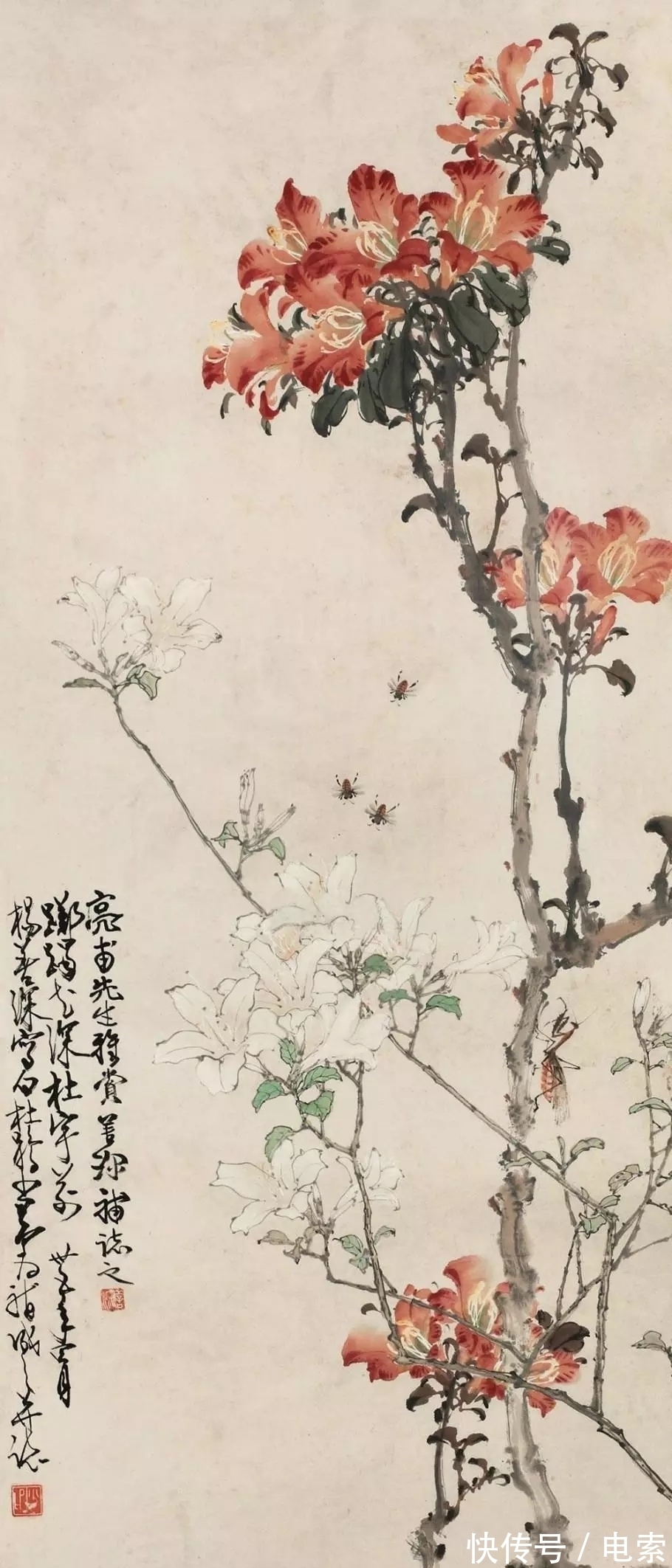 赵少昂|杨善深作品欣赏