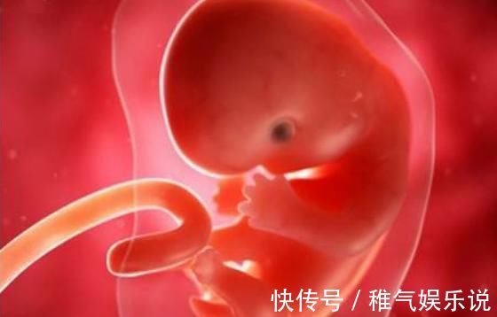 发育|胎宝待在妈妈肚子里10个月,但只在这3周发育智力,孕妈别错过