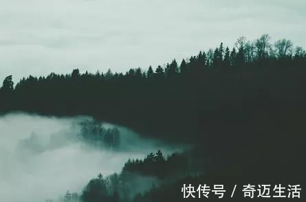 陆凯#诗词丨史上最美的8首短诗,首首经典,谁读了都会心醉