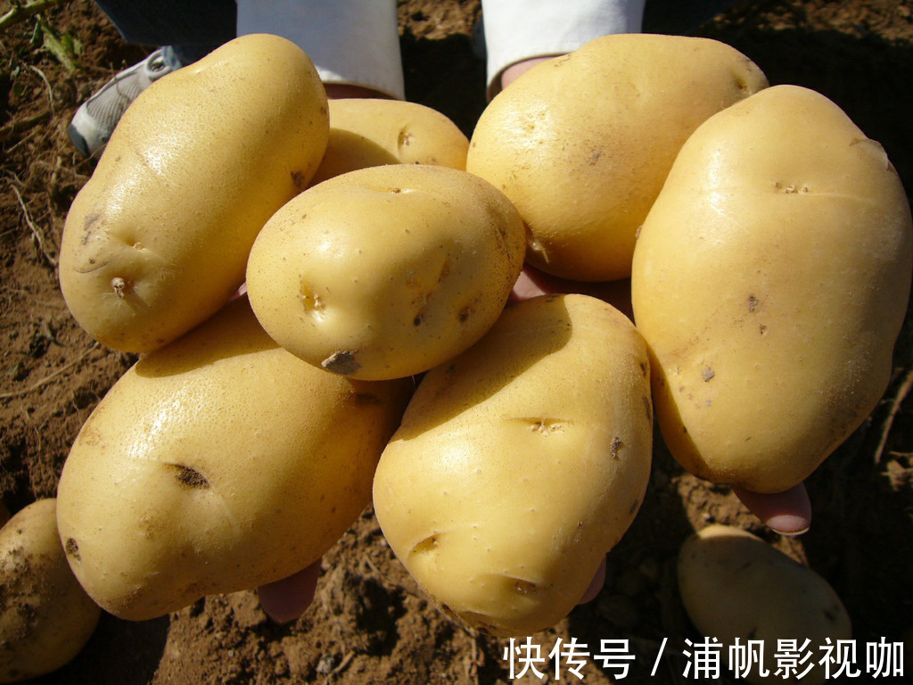 康教授|于康高血脂患者应怎么吃少碰五类食物!超全面,普通人也适用