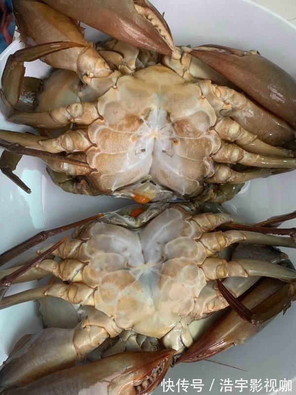 元素|清蒸大闸蟹,两种元素是关键,这样做,肉嫩不柴格外鲜美!