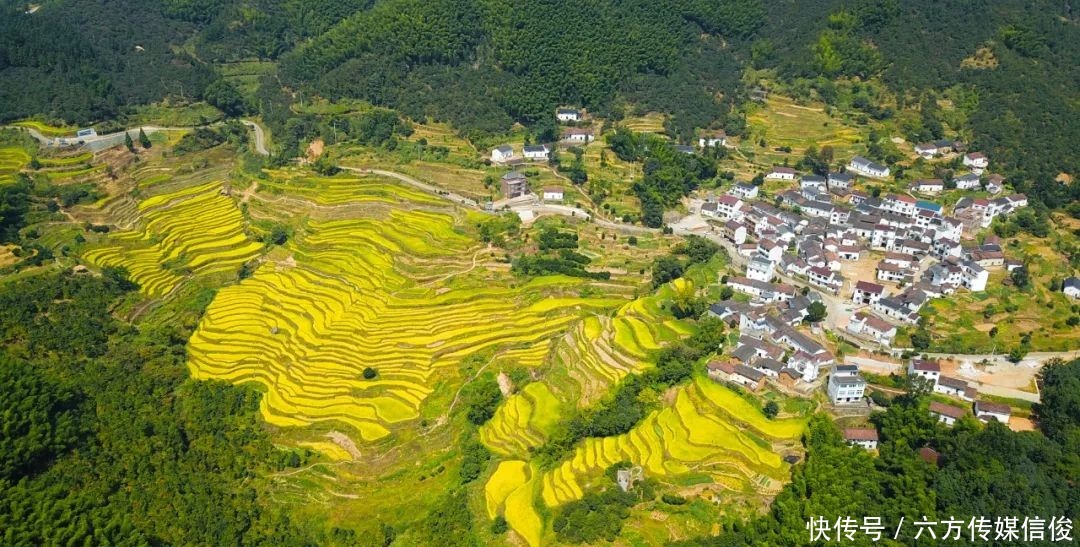  双城|婺语倾城：婺城“花香”沁九州