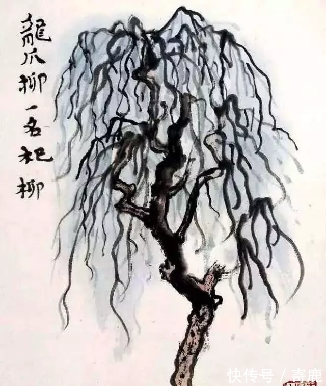 画树#国画教程|陆俨少树法