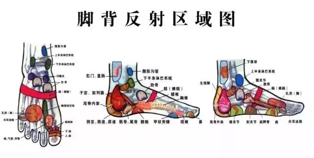 静脉曲张|寒从脚下起，病从脚底除