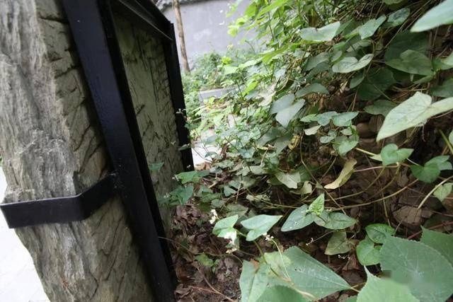 丹青|觅画记·阎立本朝廷号为丹青神化(下)韦力撰