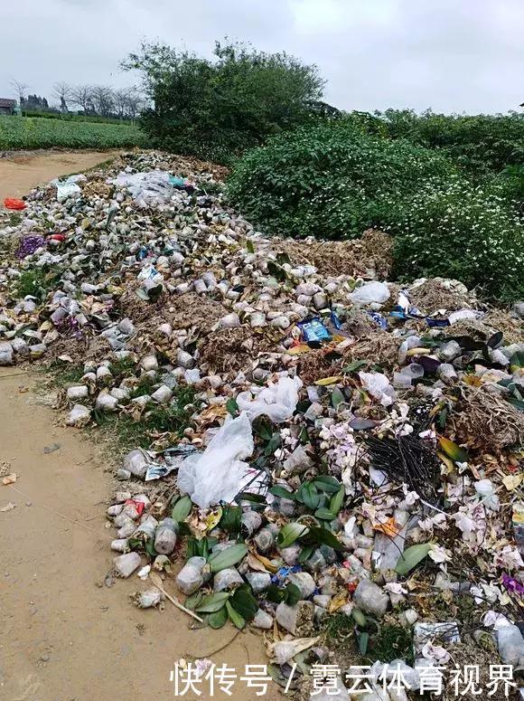 垃圾桶里一堆“贵货”花,丢人也要捡,带回家就开花