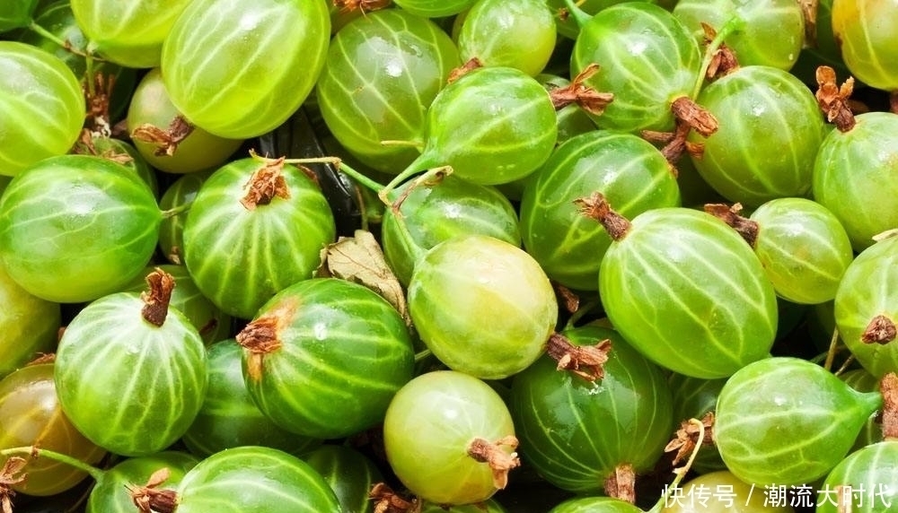 女人常食此果好处数不来,每天食几个,养血养颜,气色越来越红润