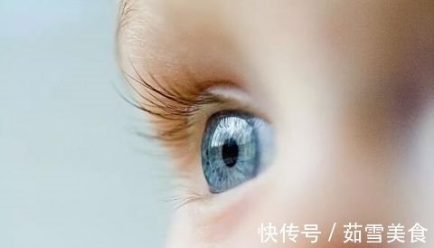 食肉鱼|宝宝吃鱼更聪明?这7种鱼,一口都不能给宝宝吃!