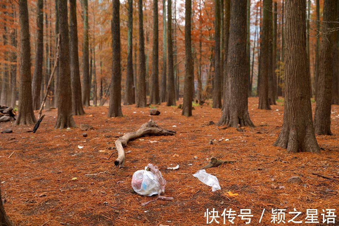颖之|小众秘境风光,一个个被糟蹋,征集黄金古道有伤风景的照片