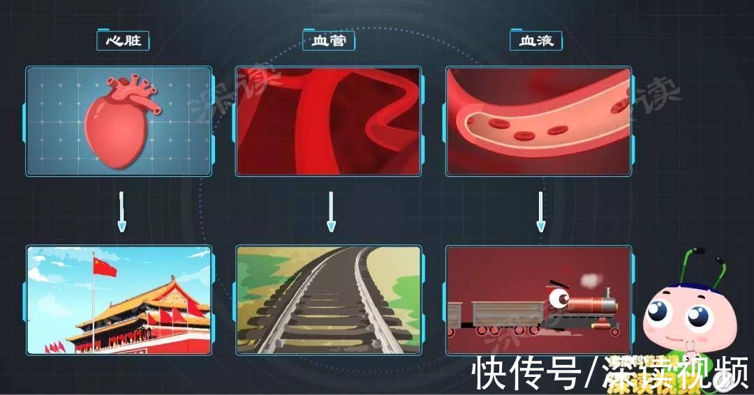 深读君|私处反复疱疹、溃烂？解密生殖器疱疹症状背后的真实原因，超赞