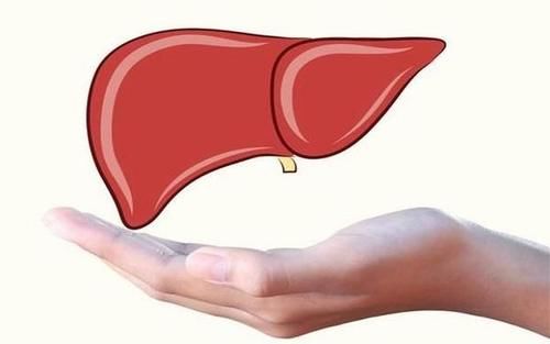 肝脏有问题的人，尽量别吃以下这3种食物，为了健康的身体，加油