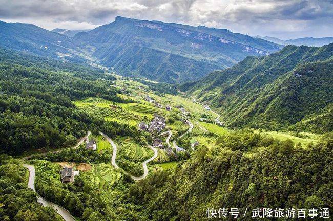 邂逅武隆的浪漫情怀 只在5月漫山杜鹃花下