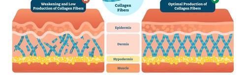 小可爱们|胶原蛋白VS玻尿酸,拿什么拯救这张不想衰老的脸
