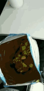 |搞笑GIF:逗什么都行可千万别逗猴子,不然这就是下场