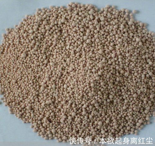 什么淘米水、黄豆水都不如2种肥,啥花都喜欢,养啥都爆盆!