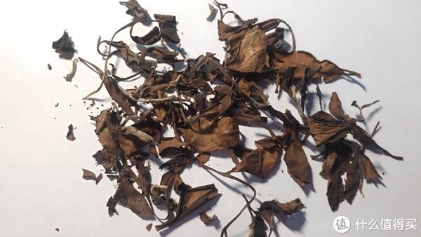 究竟|白茶寿眉详解，究竟是枯树叶还是茶珍宝？