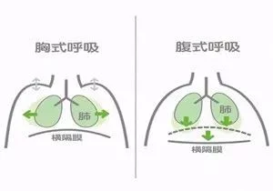 “呼吸到脐，寿与天齐”，腹式呼吸养生方法