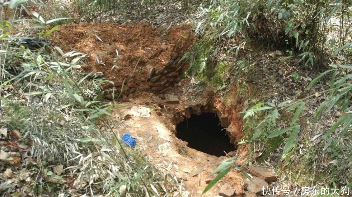 文物|花50万找土夫子来盗墓,一件石椁就卖100万美元,事迹被拍成电影