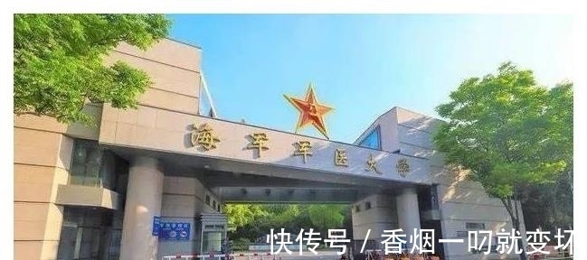 生崽|公鼠成功怀孕生崽,男人生孩子还远吗?