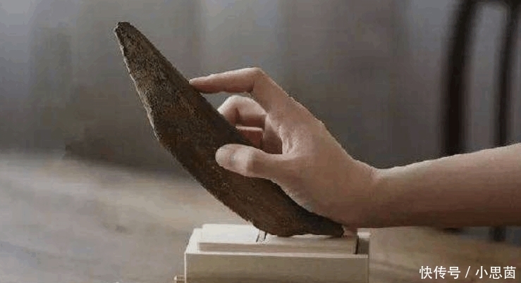 世界第一硬的食物, 硬如坚木, 刀砍不断, 要用刨子削成木屑才能吃