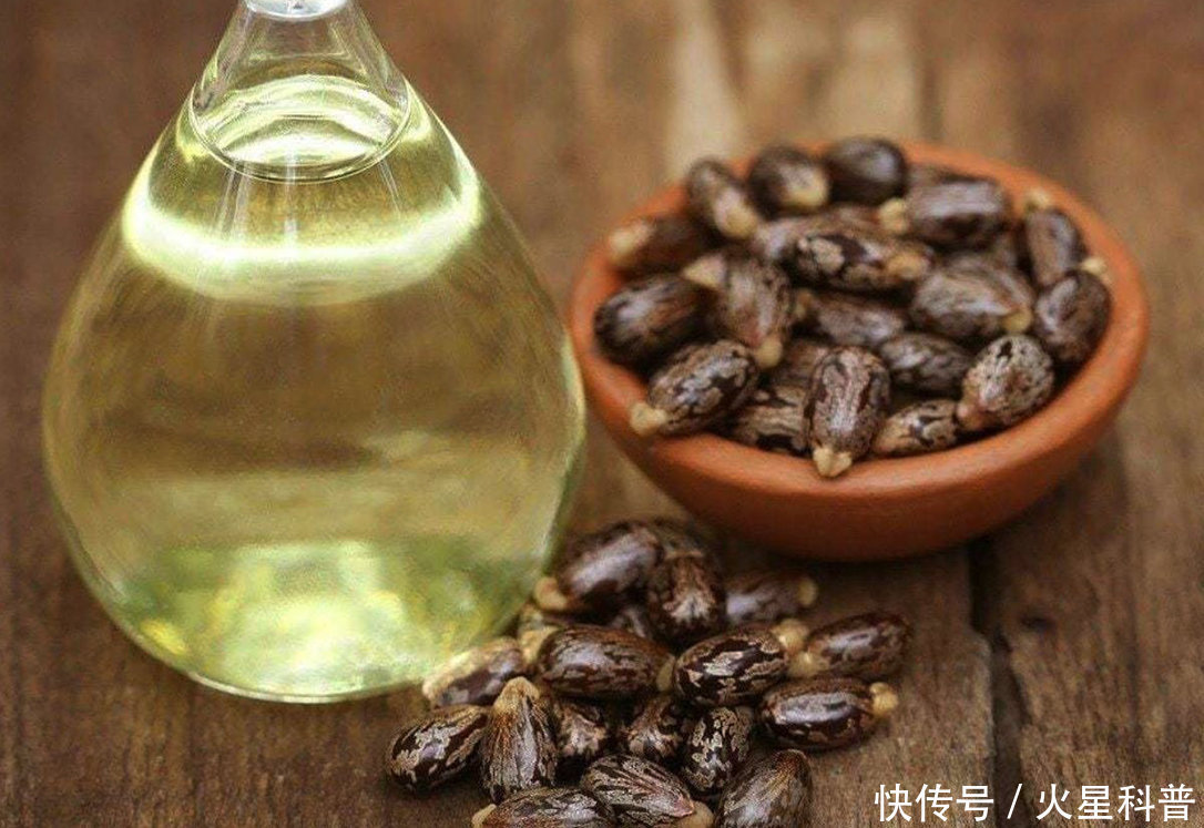 农村|农村到处种的蓖麻竟是生化武器,15毫克就能致命,这是怎么回事