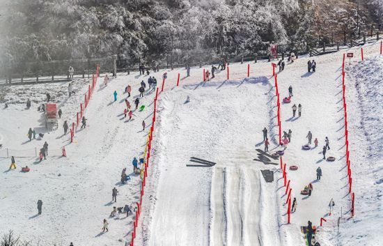 滑雪橇|重庆南川：冰雪运动“热”起来