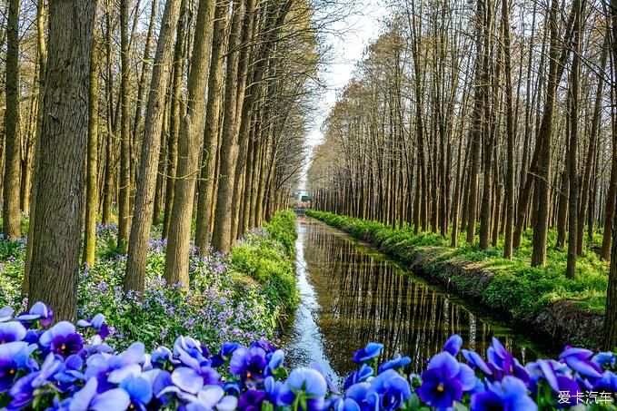 中年|春暖花开游江南-千垛景区水上森林之旅