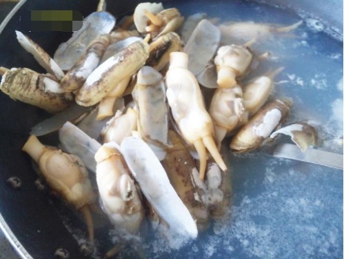 韭菜与它是绝配,这货又肥又嫩又鲜,30元炒一盘比饭店便宜多了!