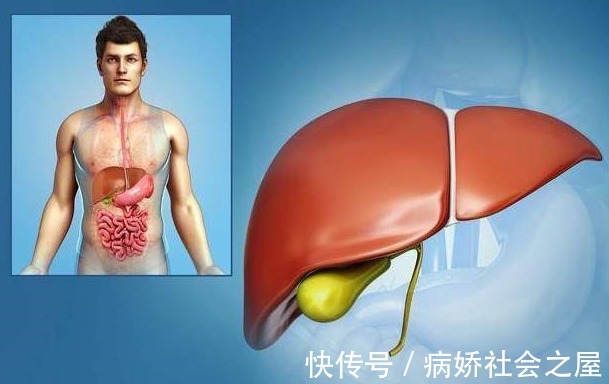 牛蒡根|肝不好的人，身体2处会痒！想要养好肝做到3点就行，不要太简单