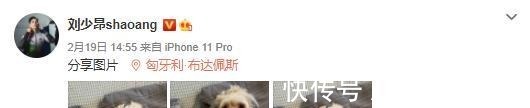 刘氏|温馨!刘少昂刘少林全家庆祝夺金,中国爸爸气色好,白人妈妈出镜!