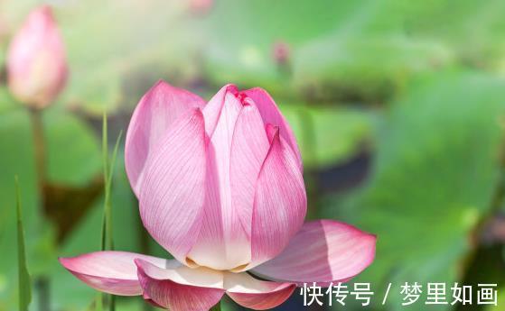 富贵盈门|4属相到了8月份,运势上涨,鸿运当头,贵人多助,富贵盈门