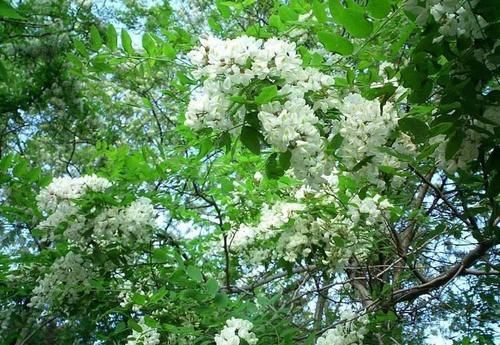 毒素|女性到了中年,常吃以下食物,排出毒素,预防子宫早衰