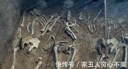 和?|纪晓岚墓出土,7名女子尸骸呈张开姿势,难怪正史对他评价不高