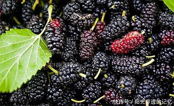 血管堵塞|“天然阿司匹林”找到了,50岁后要常吃,软化血管防血栓,更长寿