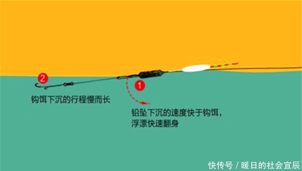 动态|飞铅钓法详解，增加动态诱鱼效果，让鱼追着饵料咬，最适合钓浮！