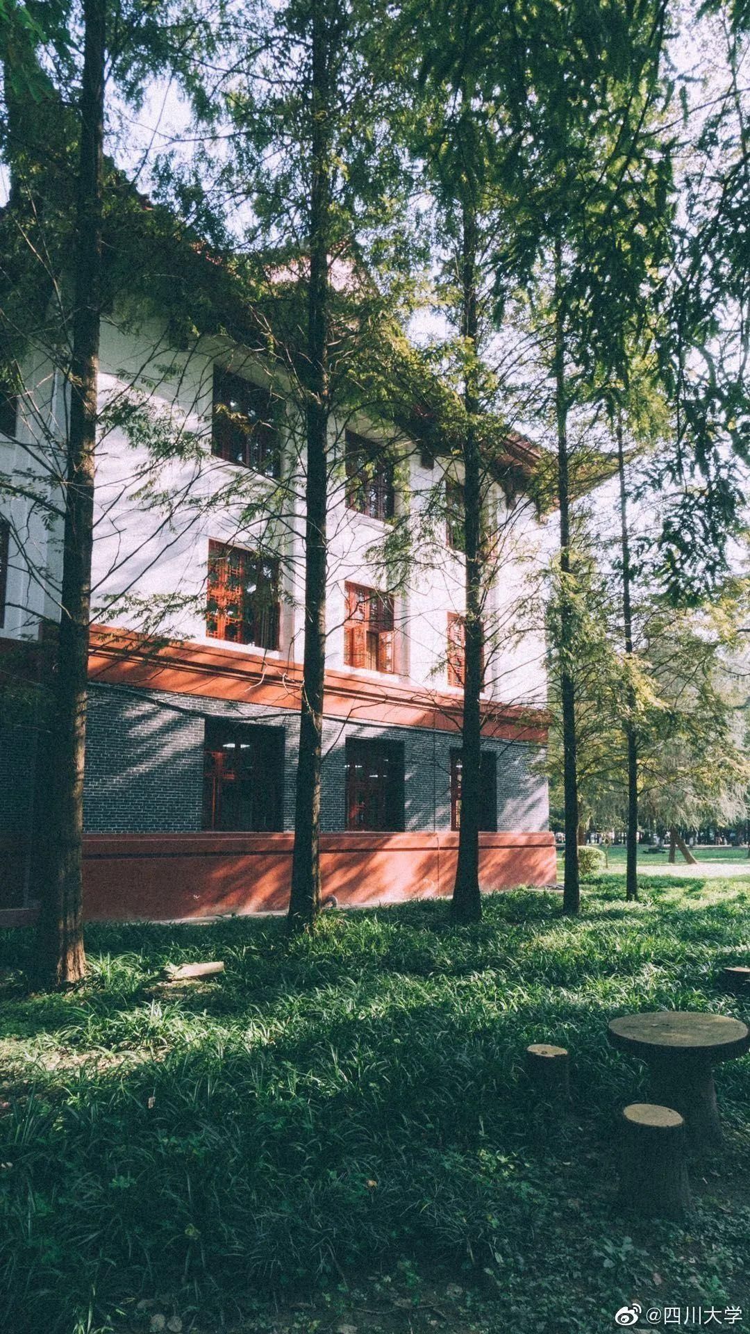 惊艳|惊艳！大学官宣秋景来了