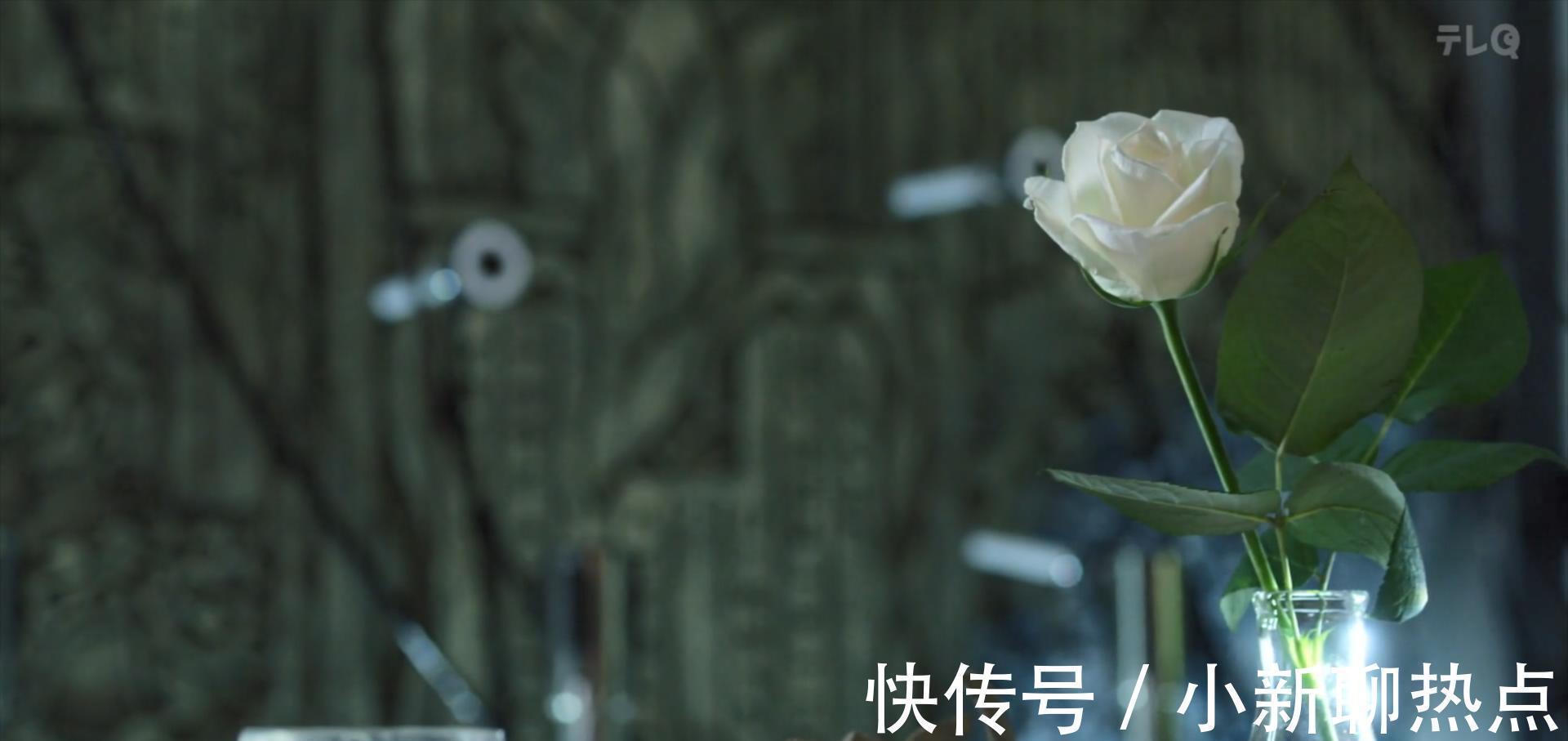 黑暗巨人|特利迦奥特曼剑悟送花给圣彰人,为他挡下攻击,结名沦为配角