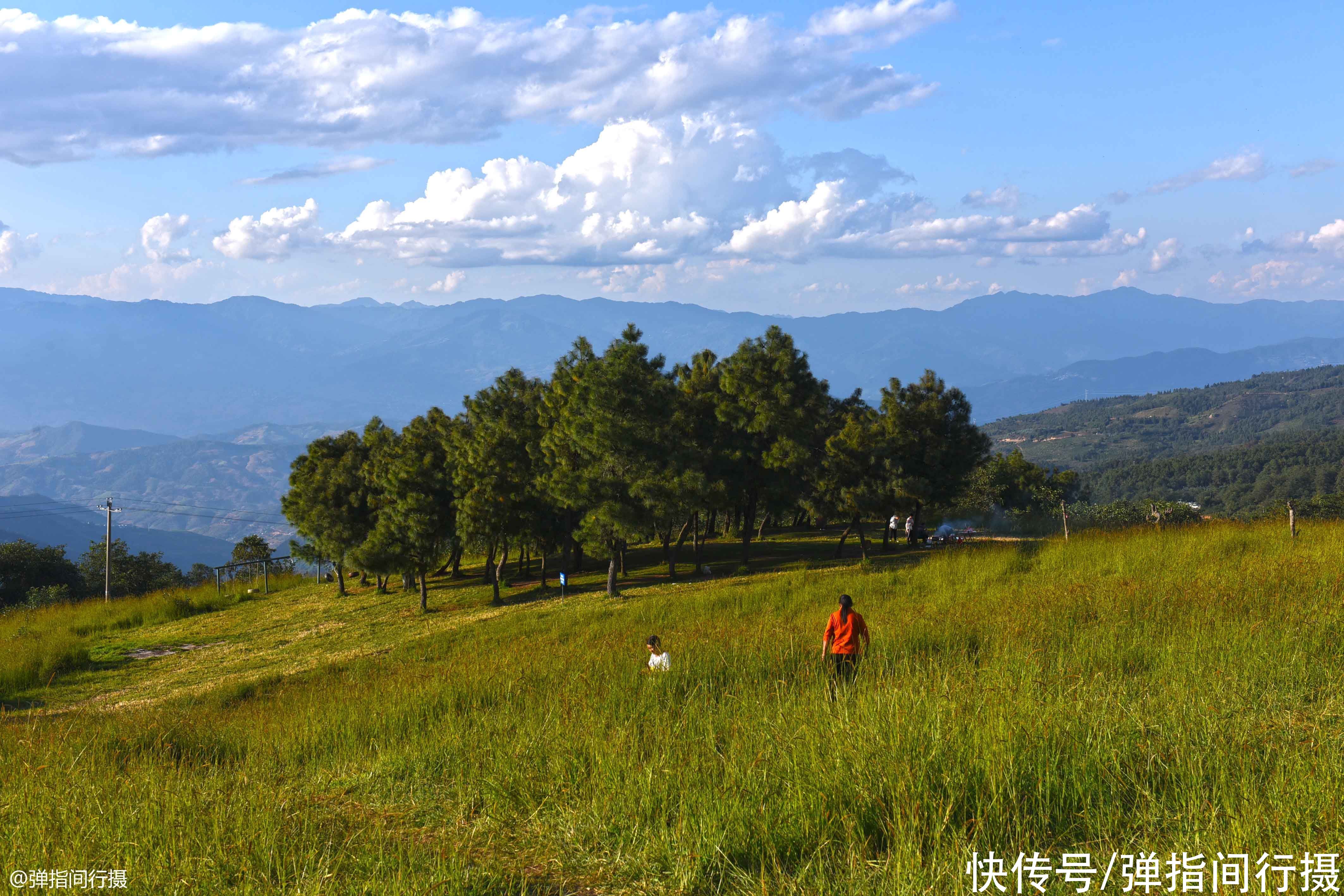 草原|云南有处“云端草原”，藏在海拔2000多米高，美景如画却鲜为人知