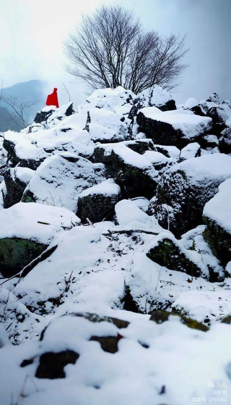 天台|虎年吉祥! 天台苍山顶万年石浪的雪境, 如童话, 如传奇!