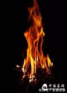 茶叶|【学茶记】凤凰单枞炭焙全过程