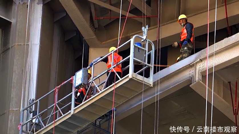 这个热搜,春之眼预定了!