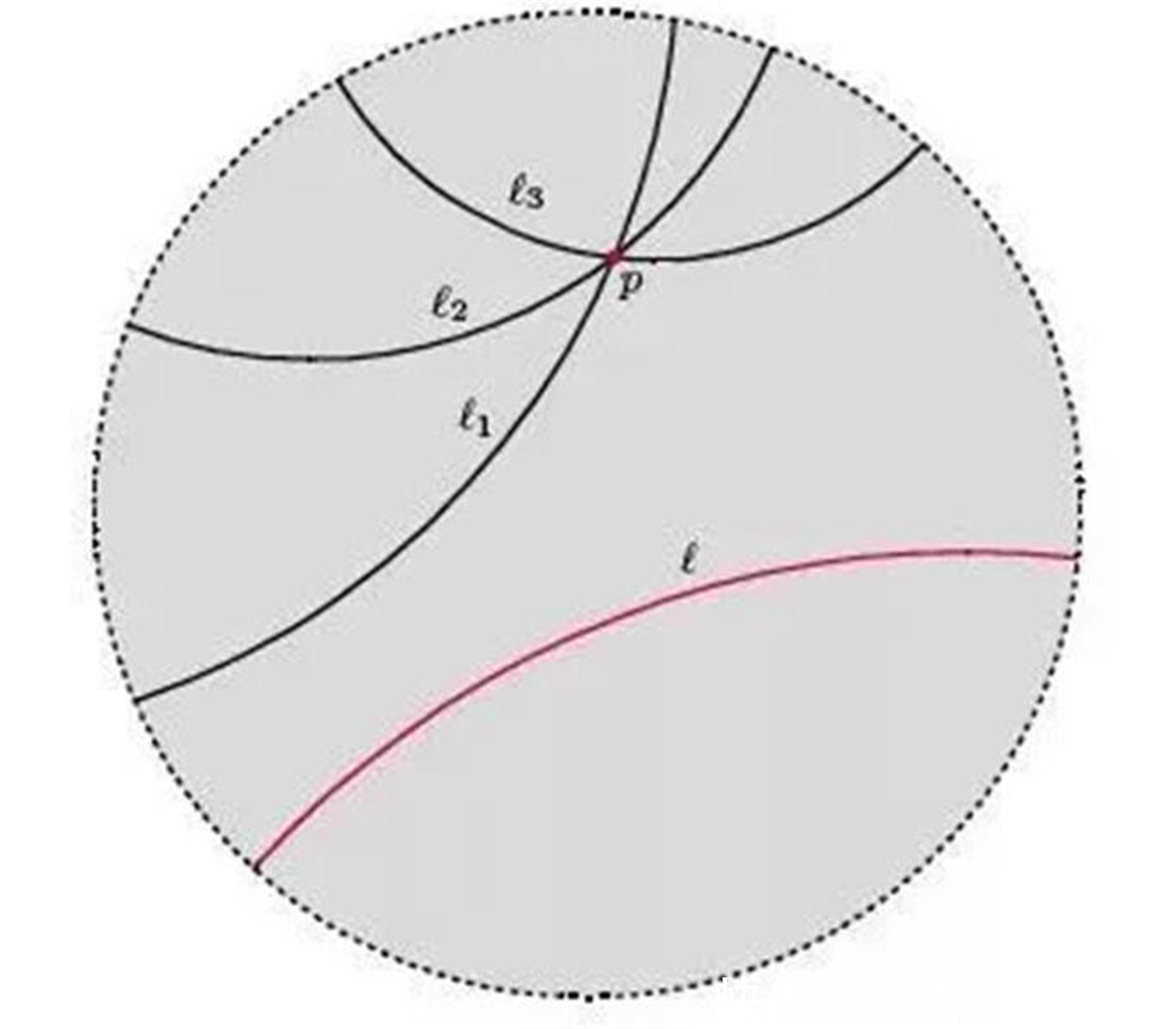 国外数学奇才称“平行线可相交”,到死未被认可,12年后被证实